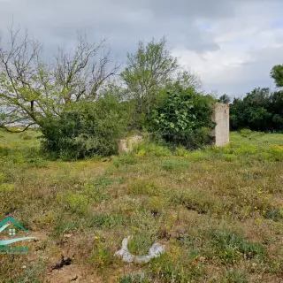 Terrain de 1000 m² sur la route de ceinture de Kélibia — photo 3