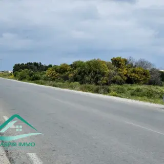 Terrain de 1000 m² sur la route de ceinture de Kélibia — photo 5