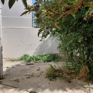Maison S+3 avec jardin, terrasse et titre bleu individuel — photo 4