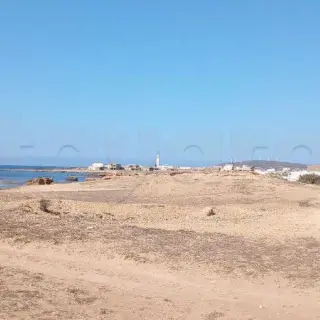 Terrain de 5 hectares pieds dans l’eau avec eau et électricité — photo 2