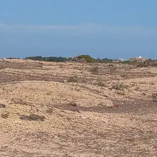 Terrain de 5 hectares pieds dans l’eau avec eau et électricité — photo 3