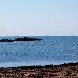 Terrain de 5 hectares pieds dans l’eau avec eau et électricité — photo 5