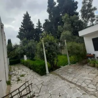 Villa auf 781 m² Grundstück, ideal für gewerbliche Nutzung