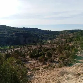 Terrain de 960 m² avec vue sur la mer, quartier résidentiel calme — photo 5