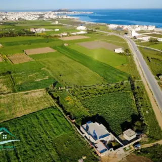 Terrain 3500 m² à Kelibia — photo 4