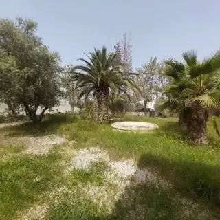 📍SMINJA ZAGHOUAN  : FERME  A VENDRE — photo 3