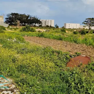 Terrain d’habitation 250 m² à Kelibia — photo 2