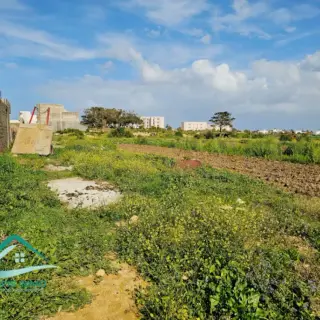 Terrain d’habitation 250 m² à Kelibia — photo 3