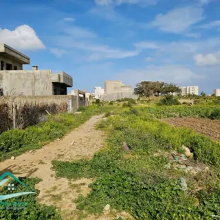 Terrain d’habitation 250 m² à Kelibia — photo 4