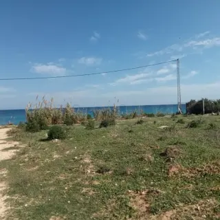 منزل للبيع في نابل - 250 دينار