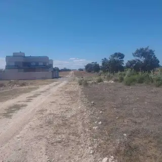 Occasion à ne jamais rater ! des Terrains pieds dans l’eau entre Dar Allouch et El Haouaria destinée à devenir un futur quartier haut standing de villas a partir de 300m2 prix très raisonnable — photo 2