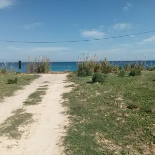 Occasion à ne jamais rater ! des Terrains pieds dans l’eau entre Dar Allouch et El Haouaria destinée à devenir un futur quartier haut standing de villas a partir de 300m2 prix très raisonnable — photo 4