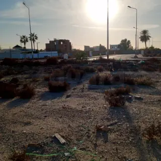 Lots de terrain de 295 à 600 m² en lotissement viabilisé à La Soukra — photo 2