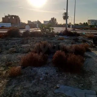 Lots de terrain de 295 à 600 m² en lotissement viabilisé à La Soukra — photo 4