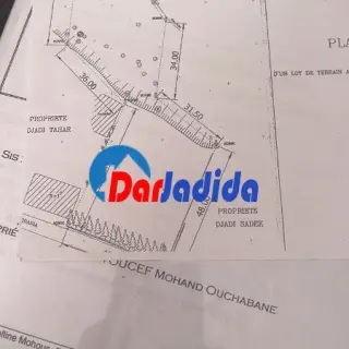 Vente Terrain à Plateau Alger