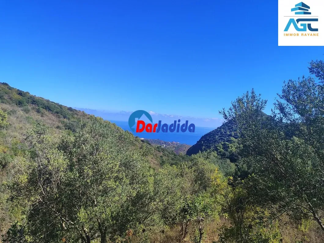 Vente Terrain à Tawrirt Bejaia — photo 1