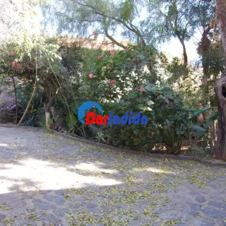 Villa Miramar — photo 5