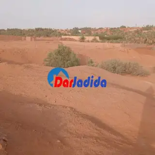 Vente Terrain Timimoun