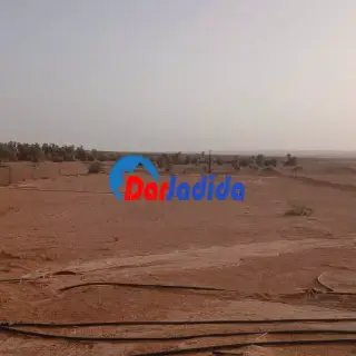 Vente Terrain Timimoun — photo 3