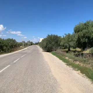 Terrain constructible de 565 m² à 900 m de la mer à Chatt Meriem — photo 5