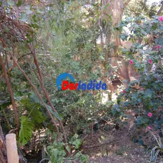 Vente Villa à Miramar Alger — photo 4