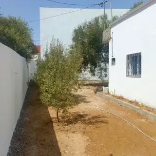 Villa avec deux chambres et jardin à 5 minutes de Hammamet Yasmine — photo 4