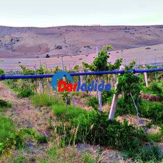 مزرعة خاصة — photo 3