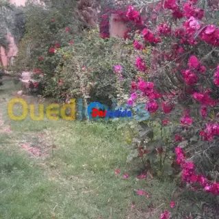 Villa Avec Grand Terrain Biskra À Proximité De L'hôtel Ziban