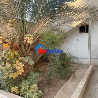 Location Villa — photo 5