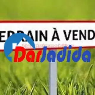 Vente Terrain Agricole 50 Hectares Biskra Sidi Salah
