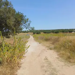 Terrain de 500 m² avec titre foncier à 10 minutes de Hammamet Yasmine — photo 3