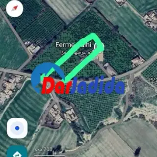 Mark till Salu - Chlef, Algeriet - 7000 m²