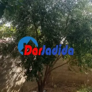 للبيع مسكن فردي ط+1+ سطح في طور الإنجاز — photo 2