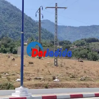 Vente Terrain Urbain El Aouaana — photo 2