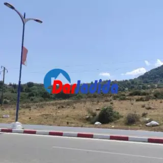 Vente Terrain Urbain El Aouaana — photo 3