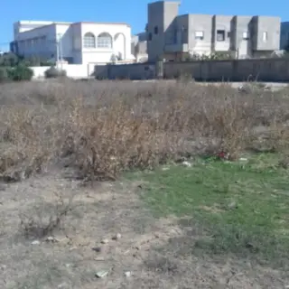 Terrain loti de 1 256 m² en 5 parcelles à Boumhel, Ben Arous