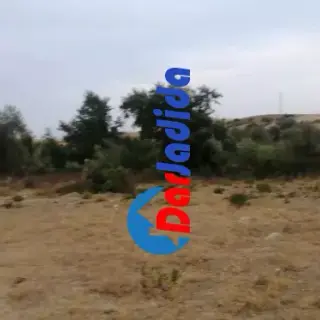 Vente De Terrain Située À Chaddia Commune De Kaous À Jijel