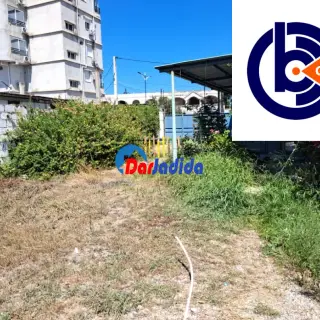 Terrain À L'entrée De Collo À 300 M De La Plage Talezza — photo 4
