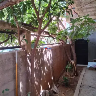 En Vendre Villa Située À Lot Bena Badji Rue Des Cascades Tlemcen — photo 2