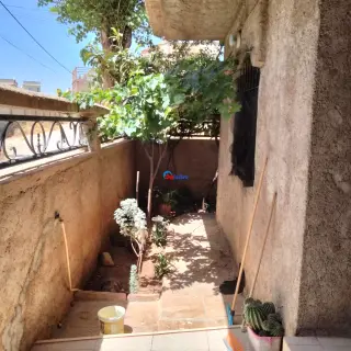 En Vendre Villa Située À Lot Bena Badji Rue Des Cascades Tlemcen — photo 5