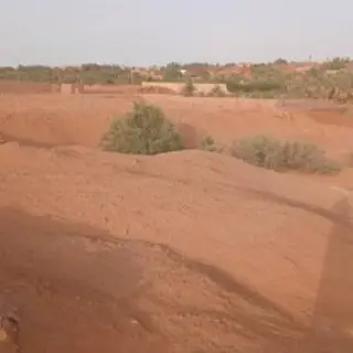 Vente Terrain 01-Adrar (Timimoun ) 9000 m² 5018 — photo 4
