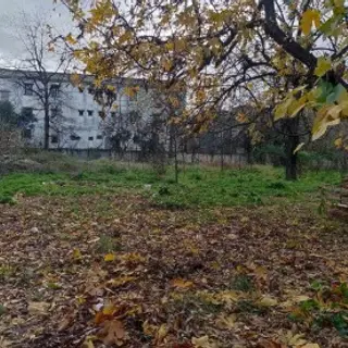 Vente Terrain 09-Blida (Larbaa) 1953 m² 4 Pièces 4 chambre 4294 — photo 2
