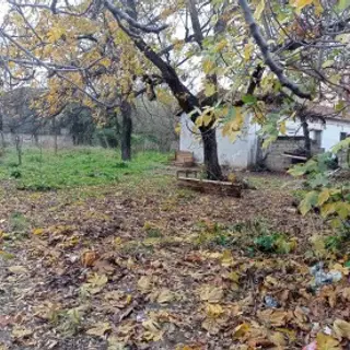 Vente Terrain 09-Blida (Larbaa) 1953 m² 4 Pièces 4 chambre 4294 — photo 4