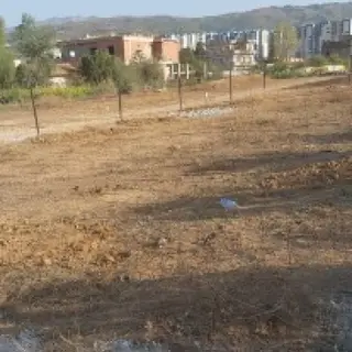 Vente Terrain 09-Blida ( Bouinan) 350 m² 4597 — photo 2