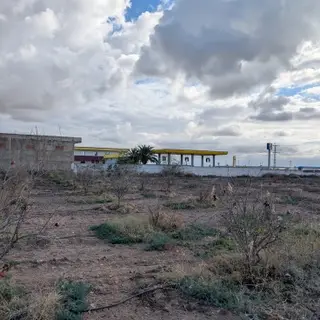 Vente Terrain 27-Mostaganem (Aïn Nouissy) 45000 m² 5029 — photo 2