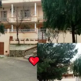 Vente Villa 13-Tlemcen (Tlemcen) 370 m² 4688