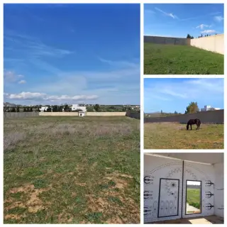Forfait! Forsa! Prix Extrêmement Négociable ! Terrain Entièrement Clôturé À Hammamet De 8200M²
