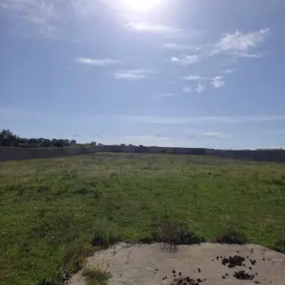 Forfait! Forsa! Prix Extrêmement Négociable ! Terrain Entièrement Clôturé À Hammamet De 8200M² — photo 3