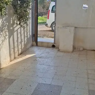 Maison S+2 rdc à vendre — photo 5