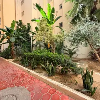 Appartement S+3 de 146 m² aux Jardins de l'Aouina avec abri — photo 2